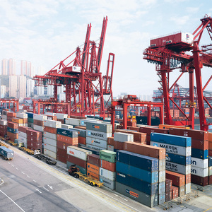 Team Page: KNGSP Ocean Guys N' Gals